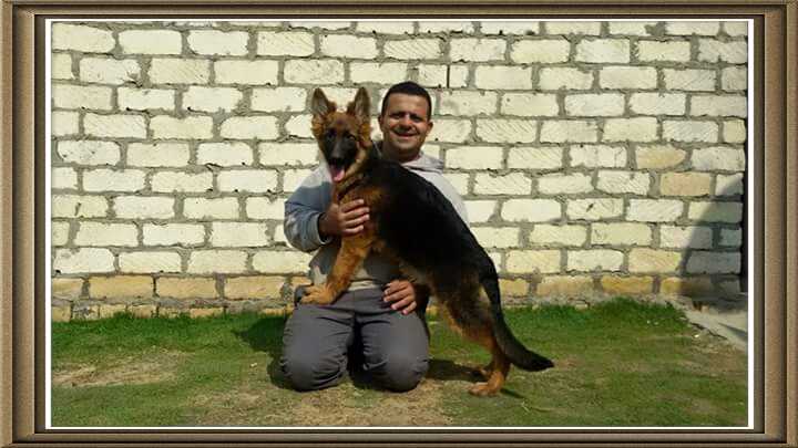 Dogga Vom El Adham Gsd Team
