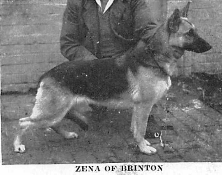Zena of Brinton