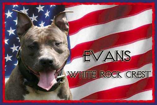 Evans white rock crest