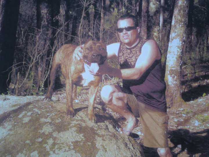 Tigre do Casubra