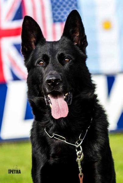 SG Checker vom Speedteam Bodensee