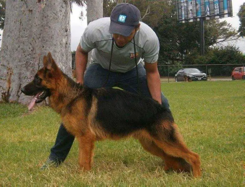 Quantum de Tierra Salvaje