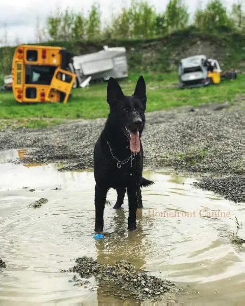 SG Berlin vom Fullforce