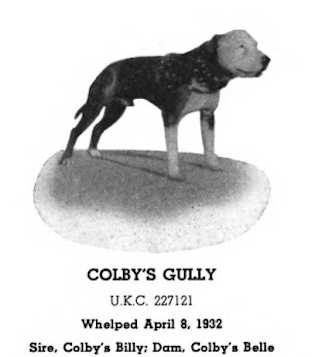 Colby's Gully (227121)