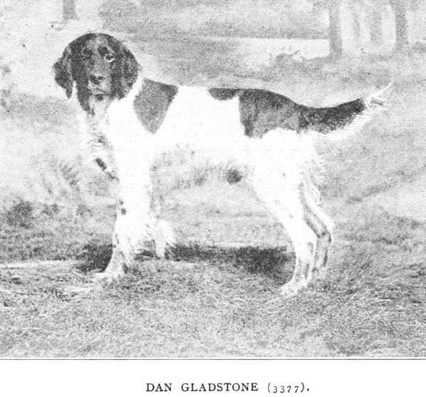 Dan Gladstone (003377)