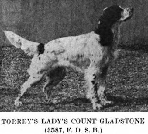 Torrey's Lady's Count Gladstone