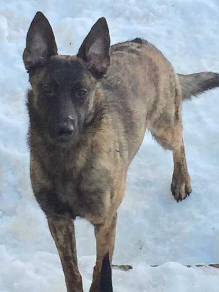 ROM Pts Twinpath El Fuego Schmid