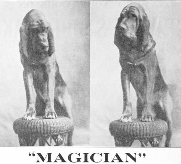World Champion 1907 Magician