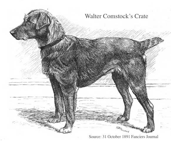 Crate (~1891) (Walter Comstock's)