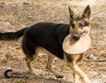 Venus Gottesschatz Vom Loganberg Of Stone Creek