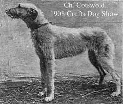 CH (Eng) Cotswold [Mrs P. Shewell]