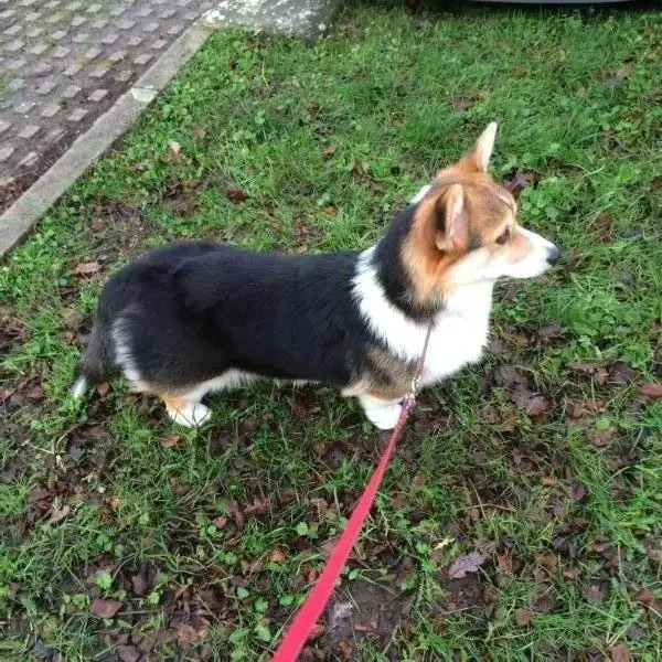 Twinan fuel the fire