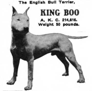 King Boo (214616)