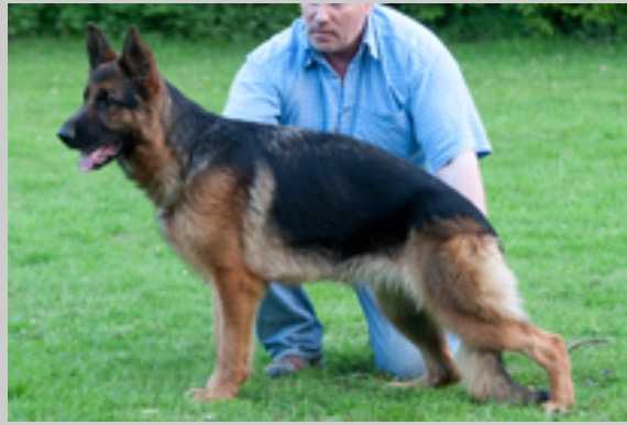 V Ocean von der Berghofer-Heide