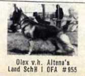 Olex van het Altena's Land