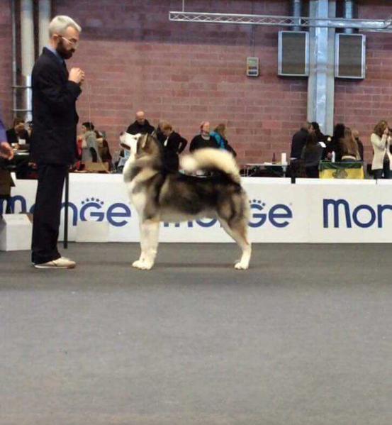 CH (EST, INTL, ITA) TheMagician Philippe Court Chatrier