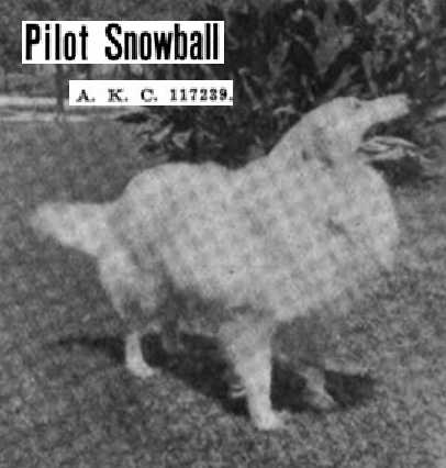 Pilot Snow Ball 117239
