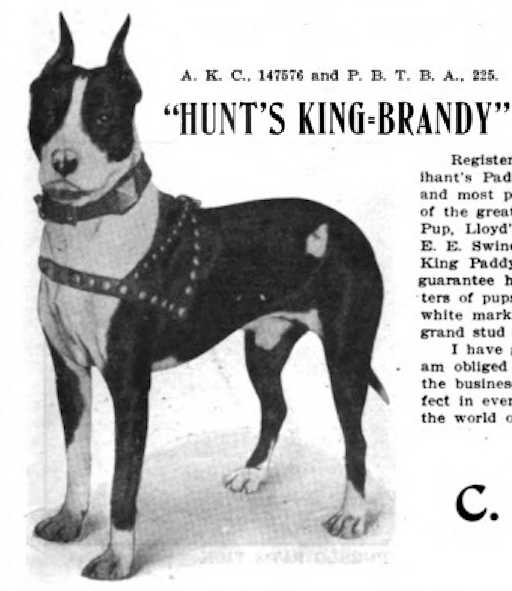 Hunt's King Brandy 147576 / 225