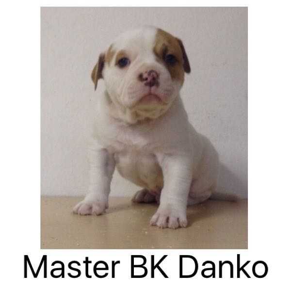 Master BK Danko