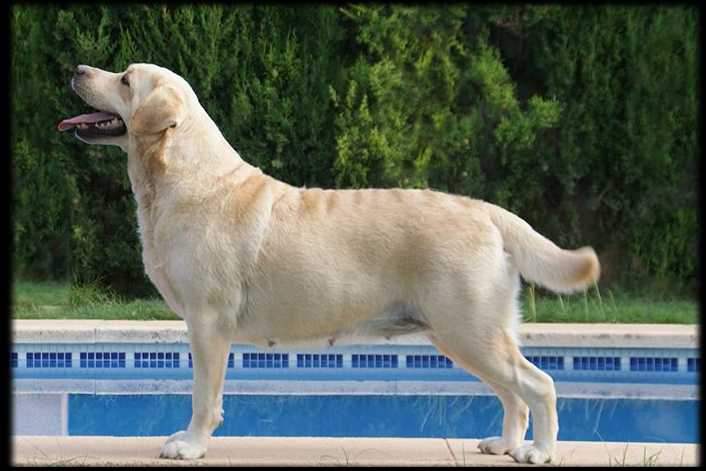 Endagora Hight Society