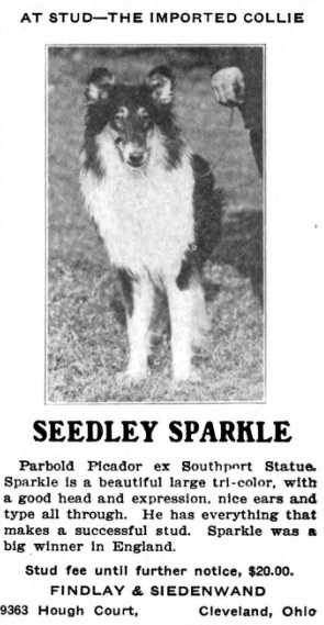 Seedley Sparkle 170373