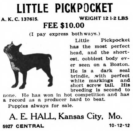 Little Pickpocket 137615
