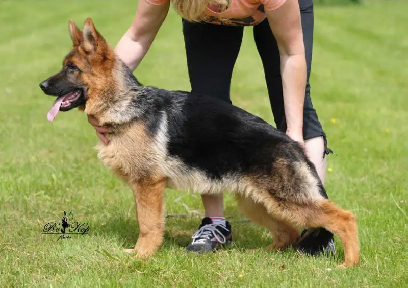 Fabienne RO-KOP Bohemia