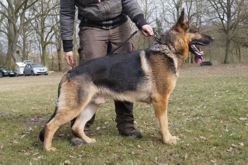 G Marvin von der Kalkhorst