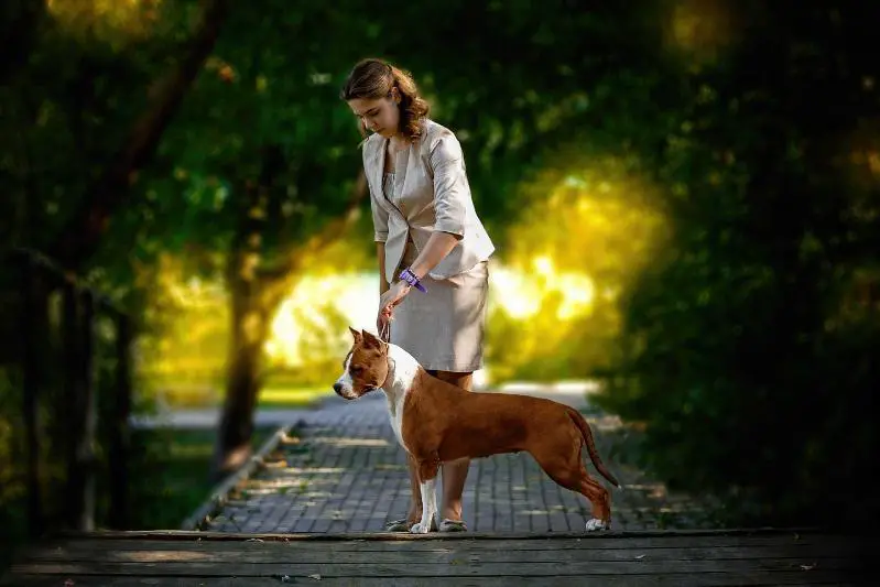 JCh Rus, Ch. Rus, CW, GrandCh. Anikord Valensia You're Ahead