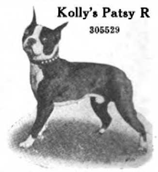 Kolly's Patsy R 305529