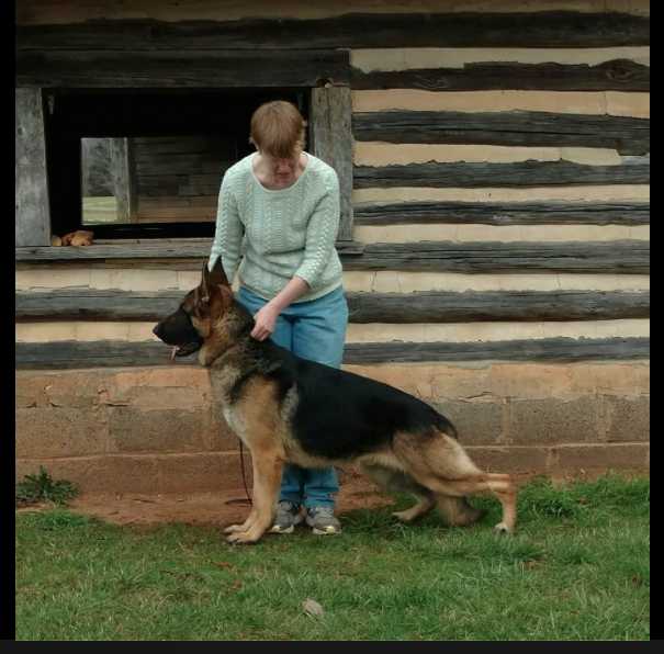 GCH CH S'Brie's Beale Street V Abijah