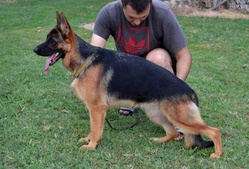 SG Bijanka De La Madonina