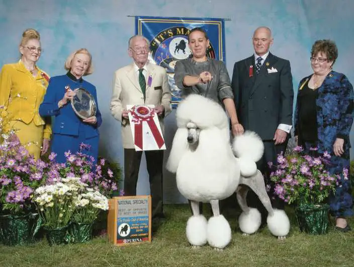 Am. GrCh. Penndragon Masaniello