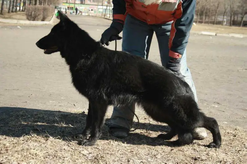 Ljustikhof La Roshel