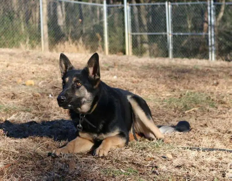 Mila Von Ingram Haus