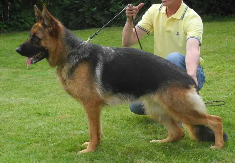 Lara vom Julianenweg