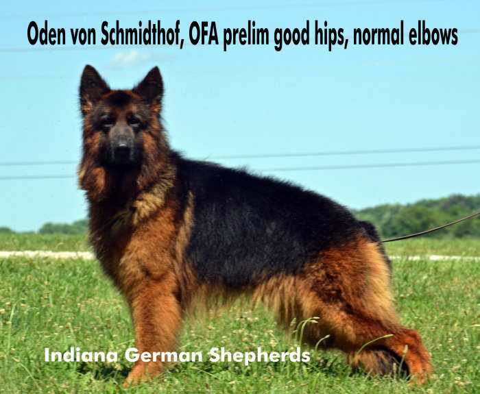 Oden von Schmidthof