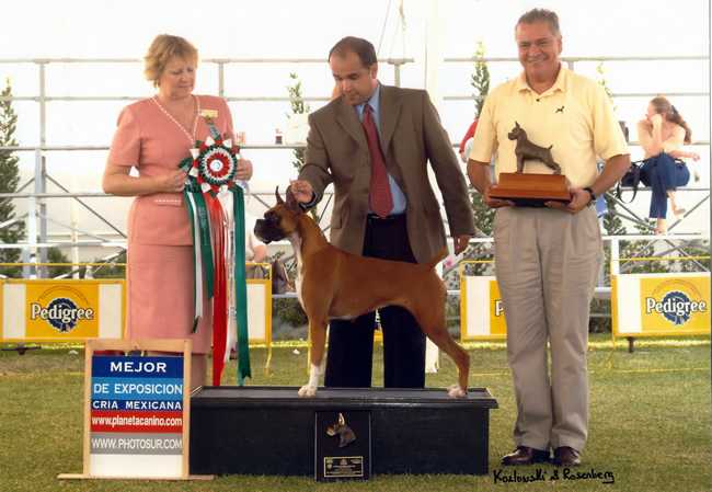 MEX CH Draga de Ibiza (Soto)