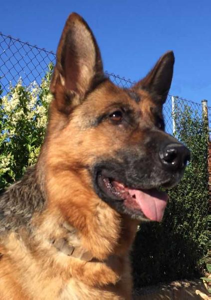 LISSA DE ALDEA DE LA VALDONCINA