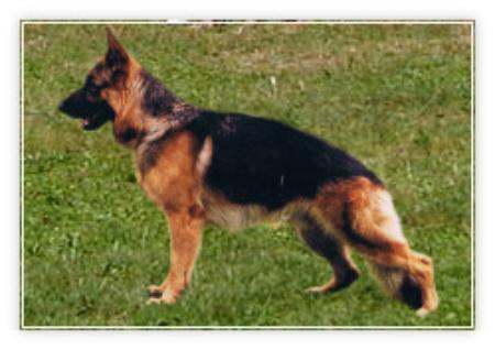 SG5(GERMANY-1997) Marcos du clos de Patmisand