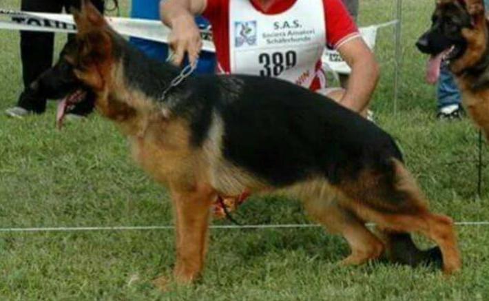 Noemy vom Pizzorusso