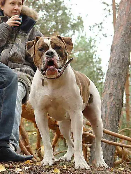 Triple Trust Wheel Of Fortun