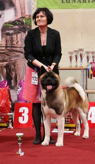 MBJIS LT CH, LT JCH Dangerous Beauty Azijos Magija