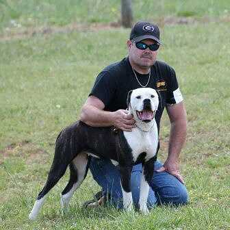 Razorbacks Princess Delilah