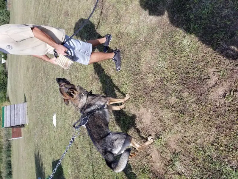 Ruger Von loveall