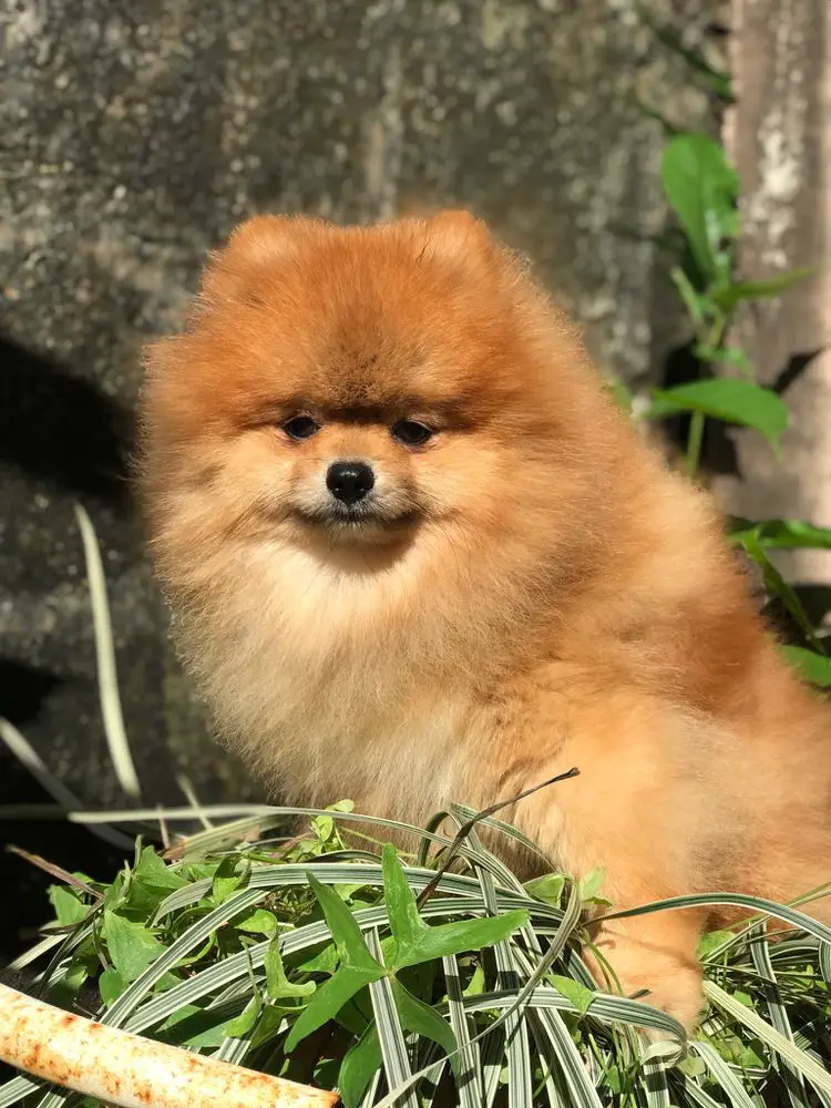 Highlights (Ramirez)