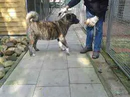 Ausserhalb's Dolores