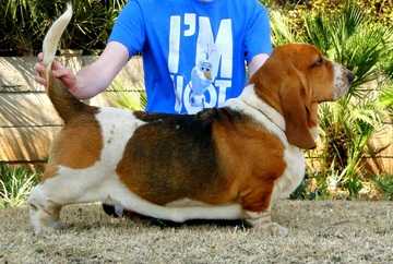 Asia Las Dehesas de 7 Picos of Benglo