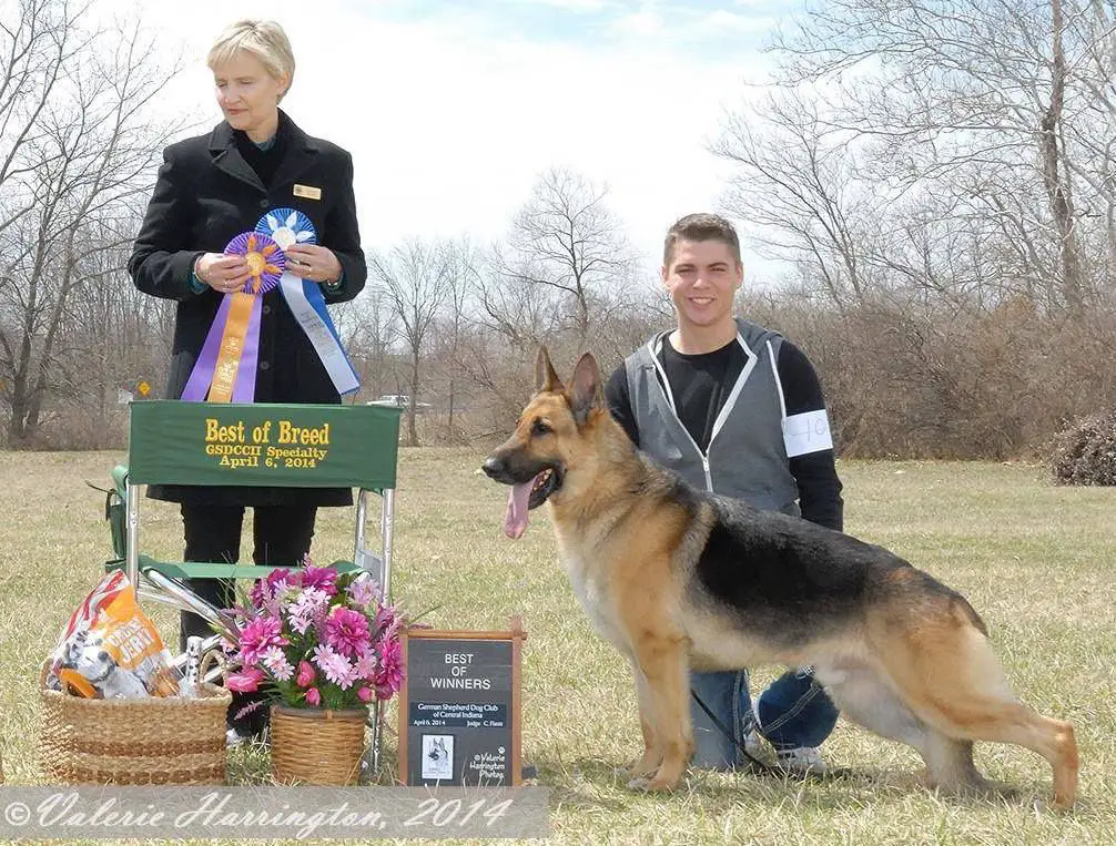 CH Chablis Billionaire v Windfall