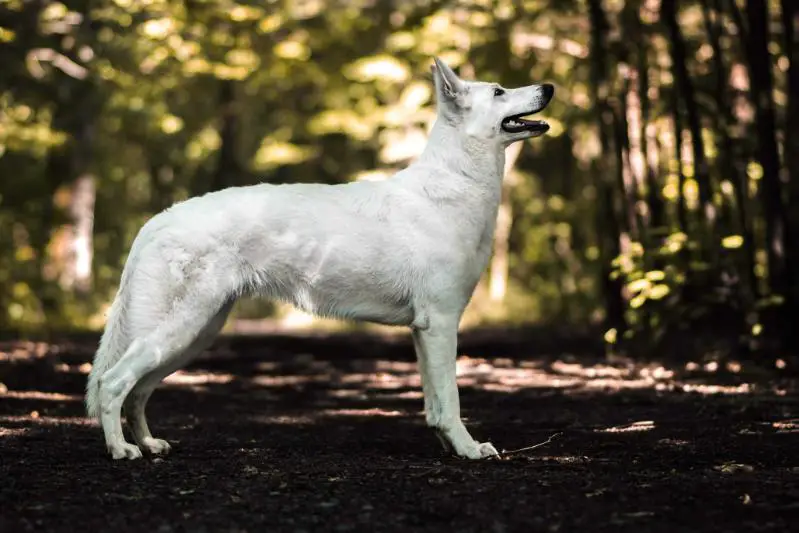 Drakka Areba Artay of Highland